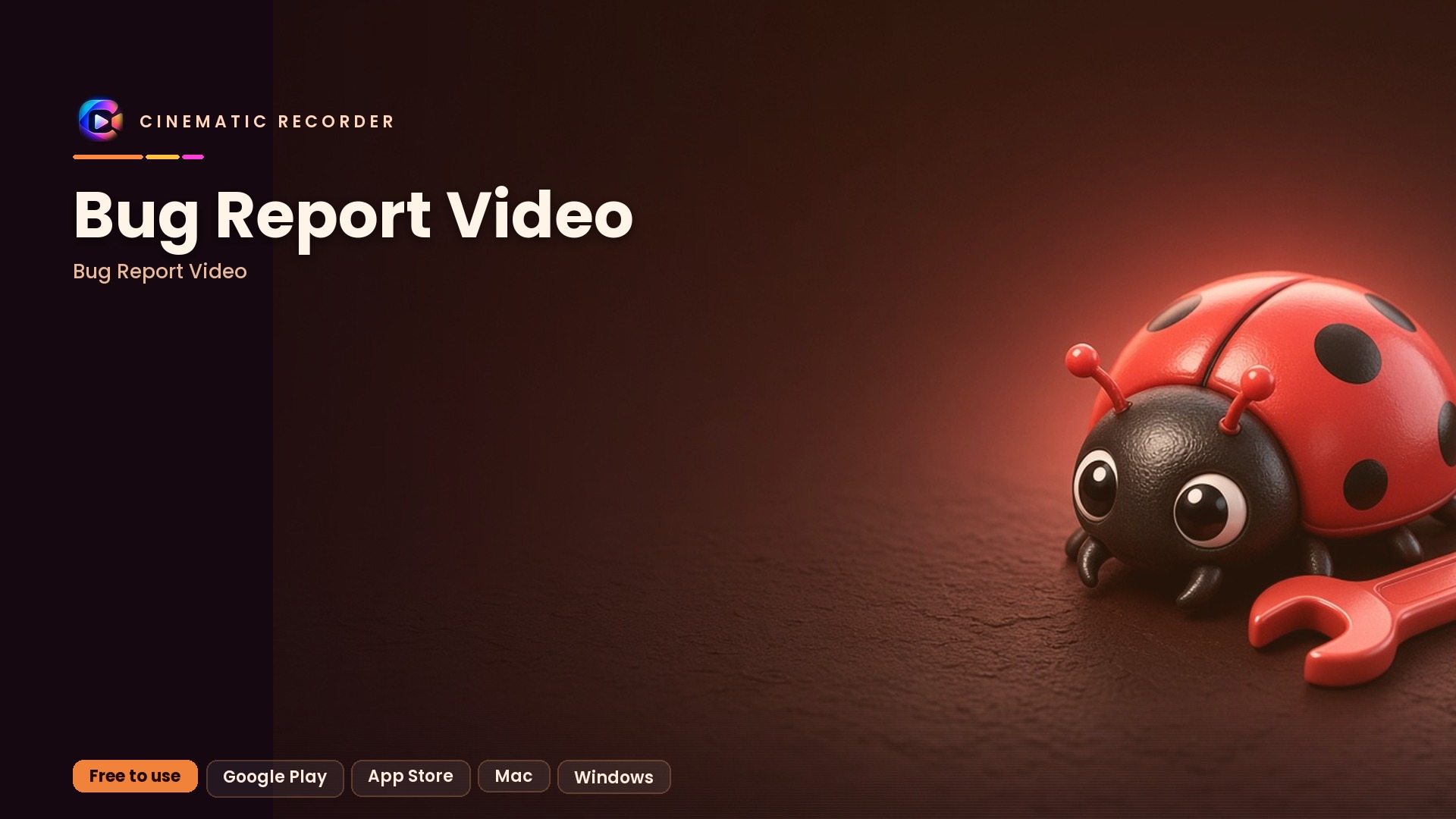 bug report video